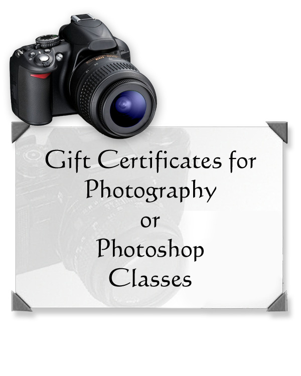 Photography Classes & Photoshop Workshops